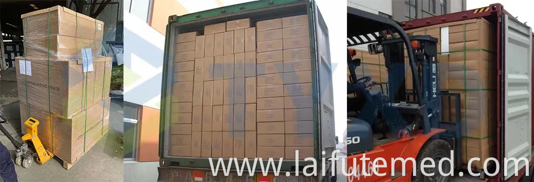 Portable Collapsible Animal Crate for All Dog Sizes